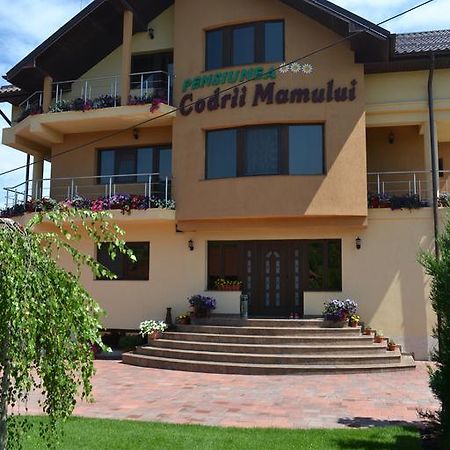 Pensiunea Codrii Mamului Lungesti Exterior photo
