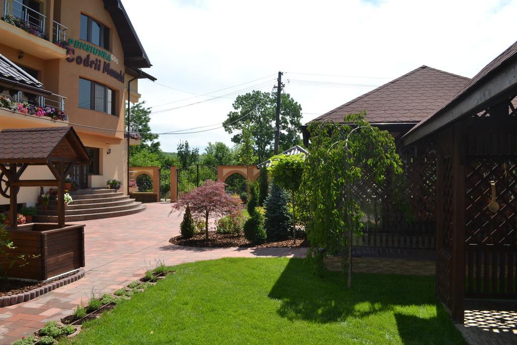 Pensiunea Codrii Mamului Lungesti Exterior photo